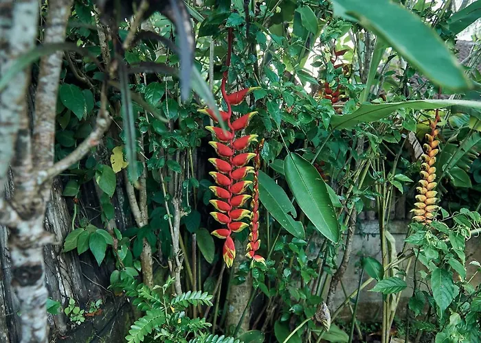Lembah Sentosa イン